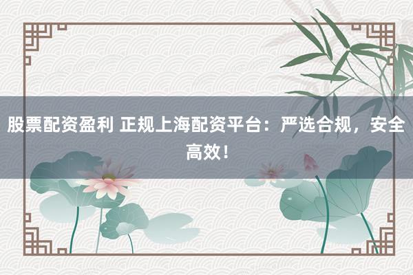 股票配资盈利 正规上海配资平台：严选合规，安全高效！