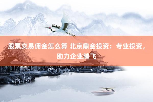 股票交易佣金怎么算 北京鼎金投资：专业投资，助力企业腾飞