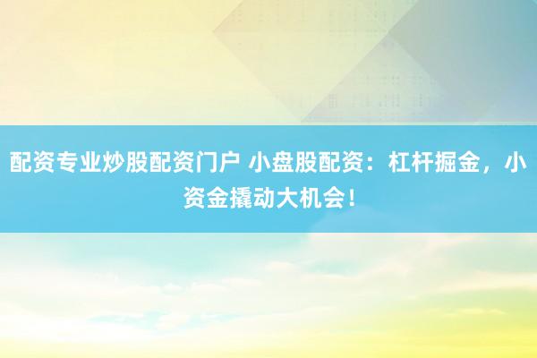 配资专业炒股配资门户 小盘股配资：杠杆掘金，小资金撬动大机会！