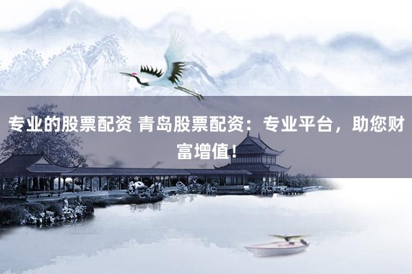 专业的股票配资 青岛股票配资：专业平台，助您财富增值！