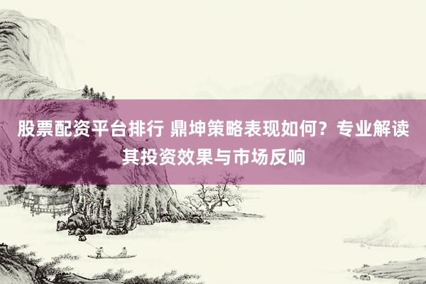 股票配资平台排行 鼎坤策略表现如何？专业解读其投资效果与市场反响