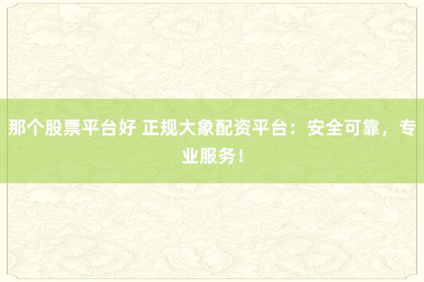 那个股票平台好 正规大象配资平台：安全可靠，专业服务！
