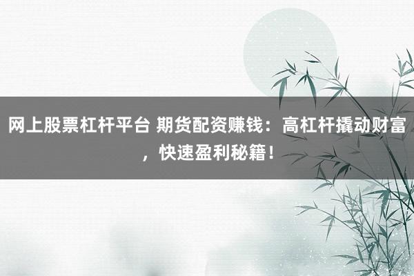 网上股票杠杆平台 期货配资赚钱：高杠杆撬动财富，快速盈利秘籍！
