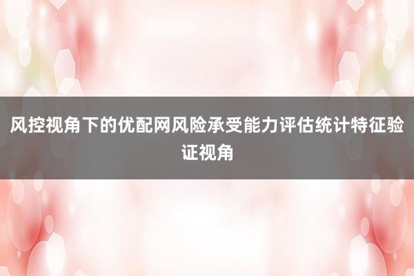 风控视角下的优配网风险承受能力评估统计特征验证视角