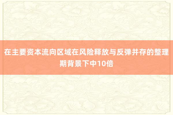 在主要资本流向区域在风险释放与反弹并存的整理期背景下中10倍