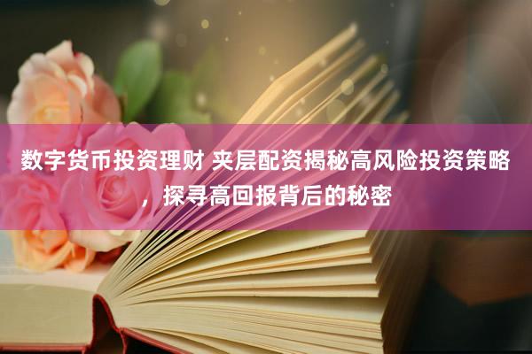 数字货币投资理财 夹层配资揭秘高风险投资策略，探寻高回报背后的秘密